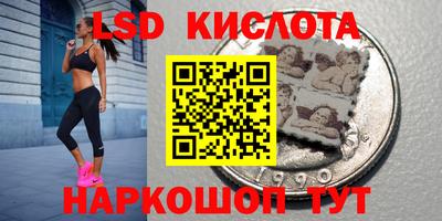 spice Кинель