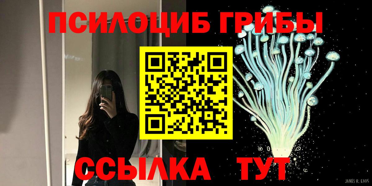 Псилоцибиновые грибы MAGIC MUSHROOMS  Галлюциногенные грибы Psilocybe  Красногорск  Вход с VPN 